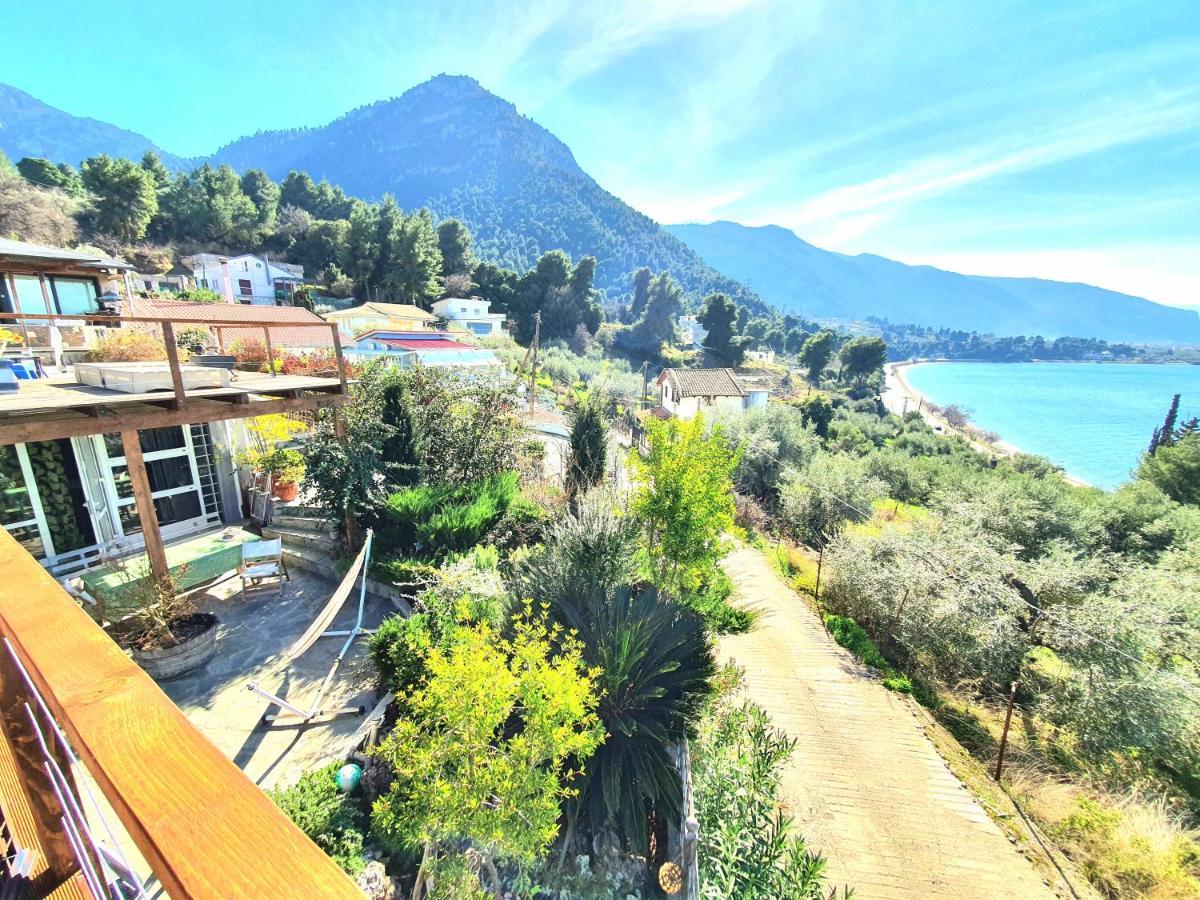 Magical View Studios Asproneri, كامينا فورلا المظهر الخارجي الصورة